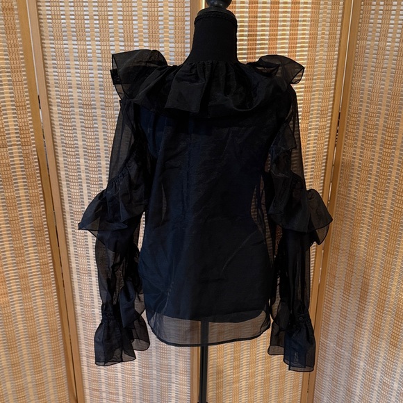H&M Sheer Black Ruffled Blouse - Picture 6 of 9